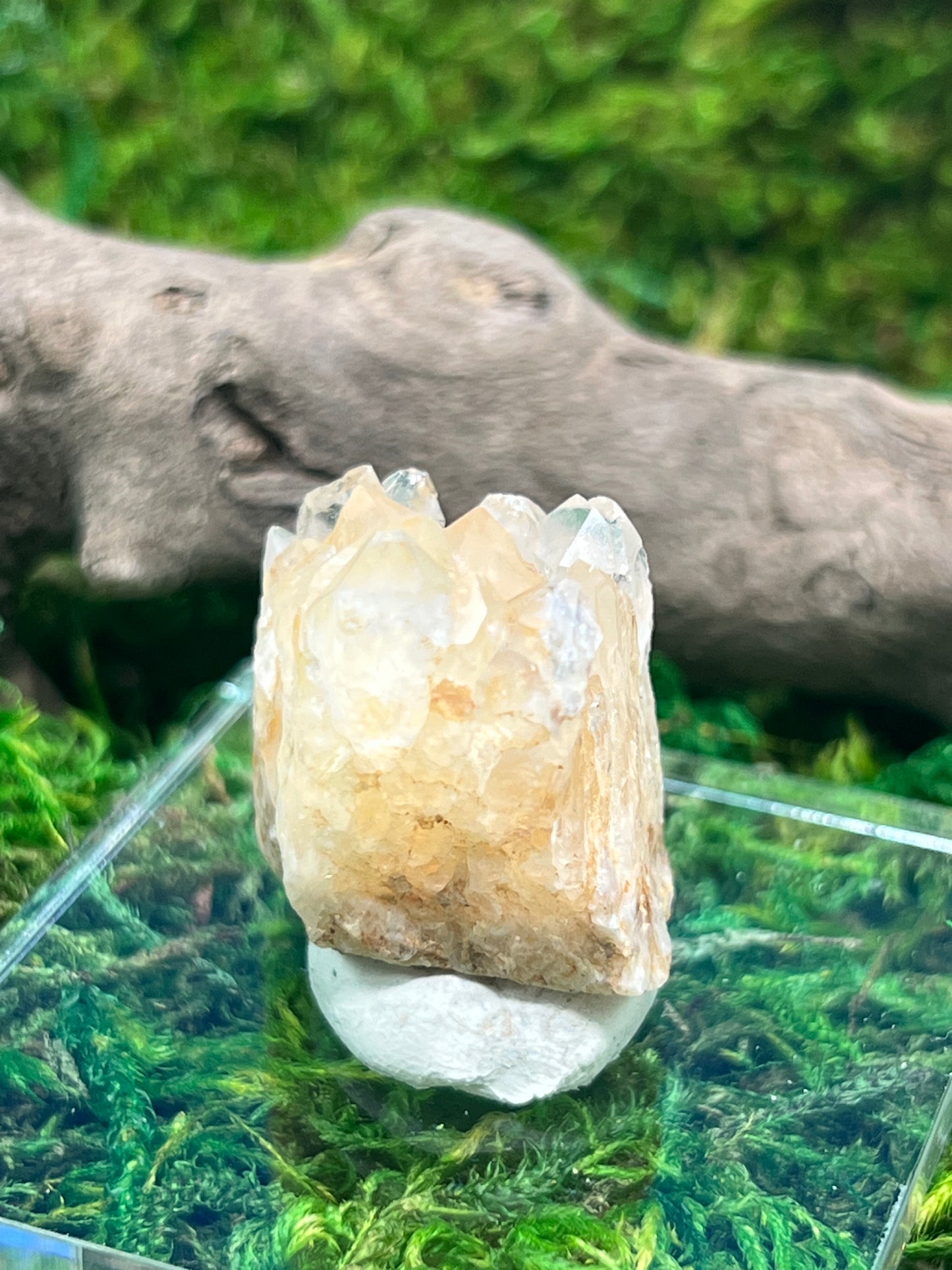 Quartz with Iron - Diamond Hill Mine Specimen