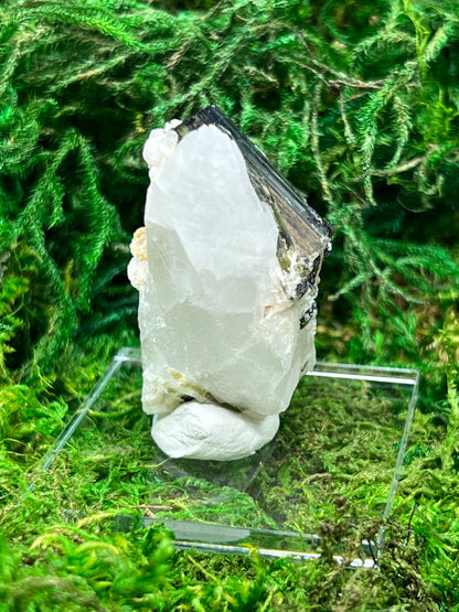 Tri-Color Cat Eye Tourmaline in Quartz Specimen