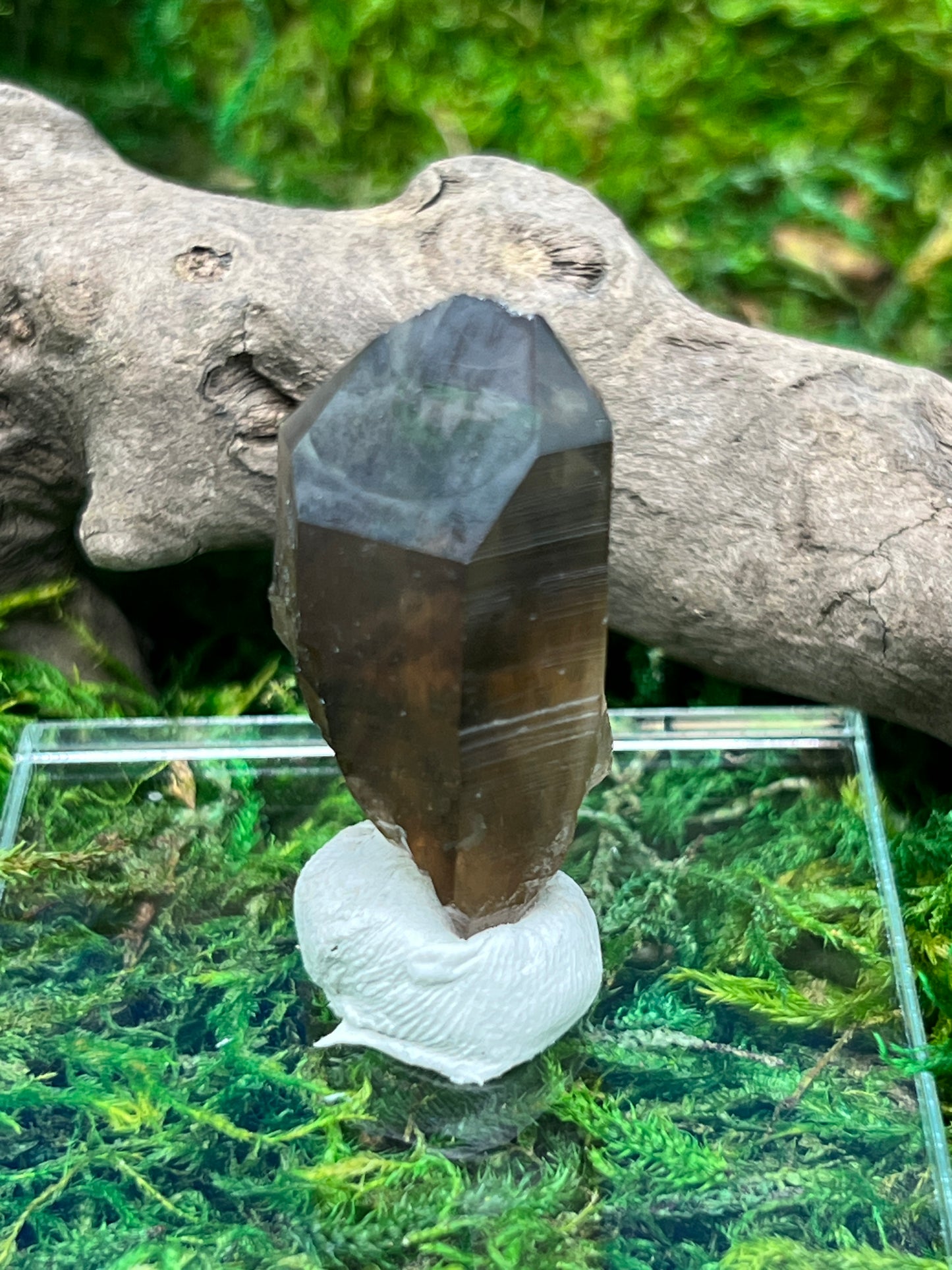 Smoky Quartz Crystal from Sally Anne Pegmatite