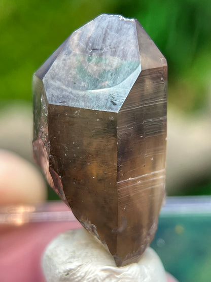 Smoky Quartz Crystal from Sally Anne Pegmatite