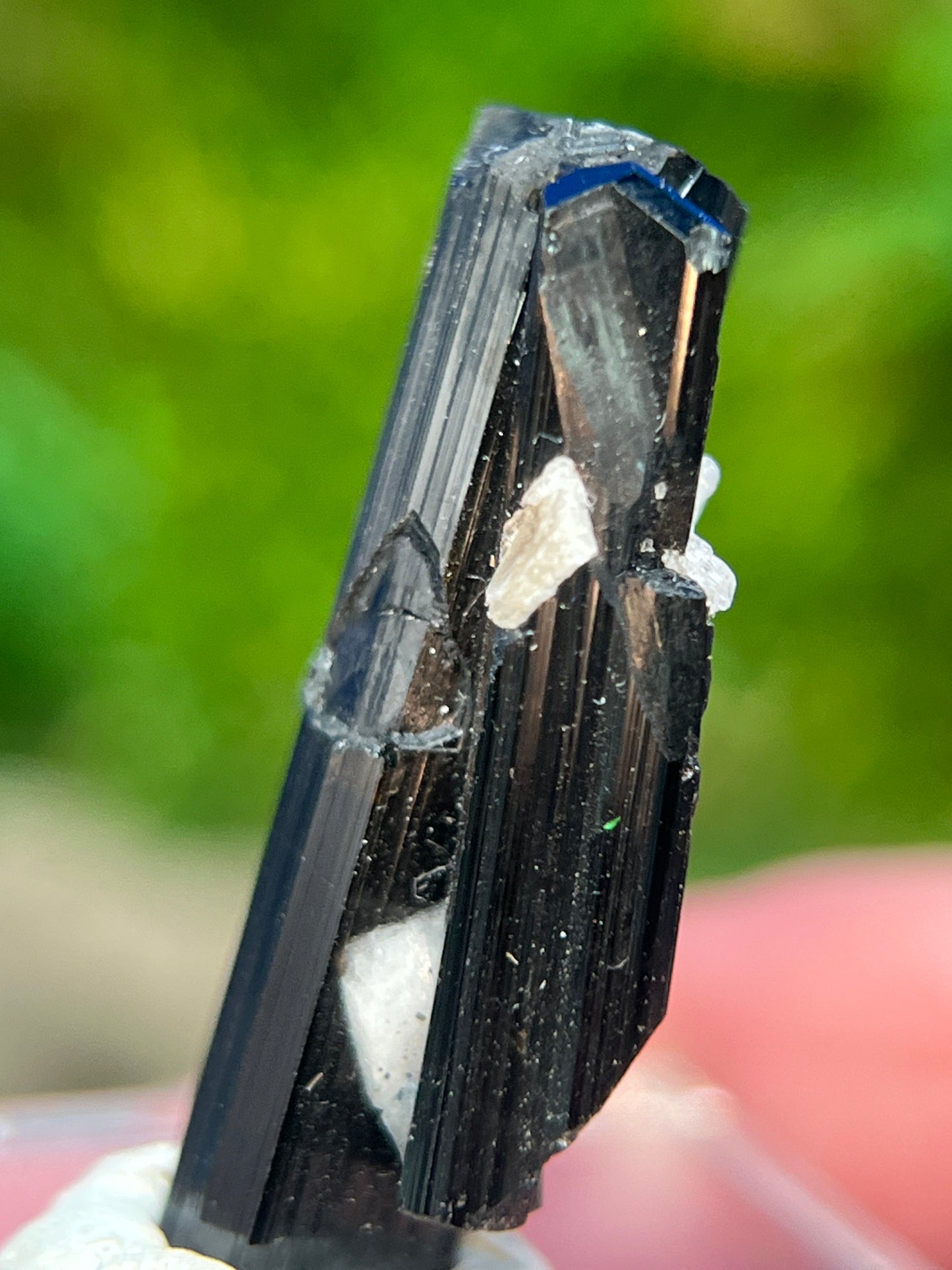 Schorl (Black Tourmaline) from Skardu, Pakistan