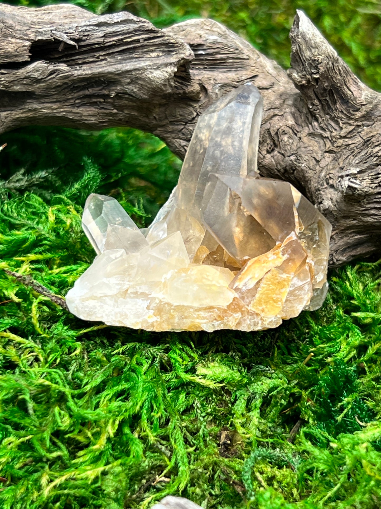 Smoky Citrine Crystal from Sally Anne Pegmatite