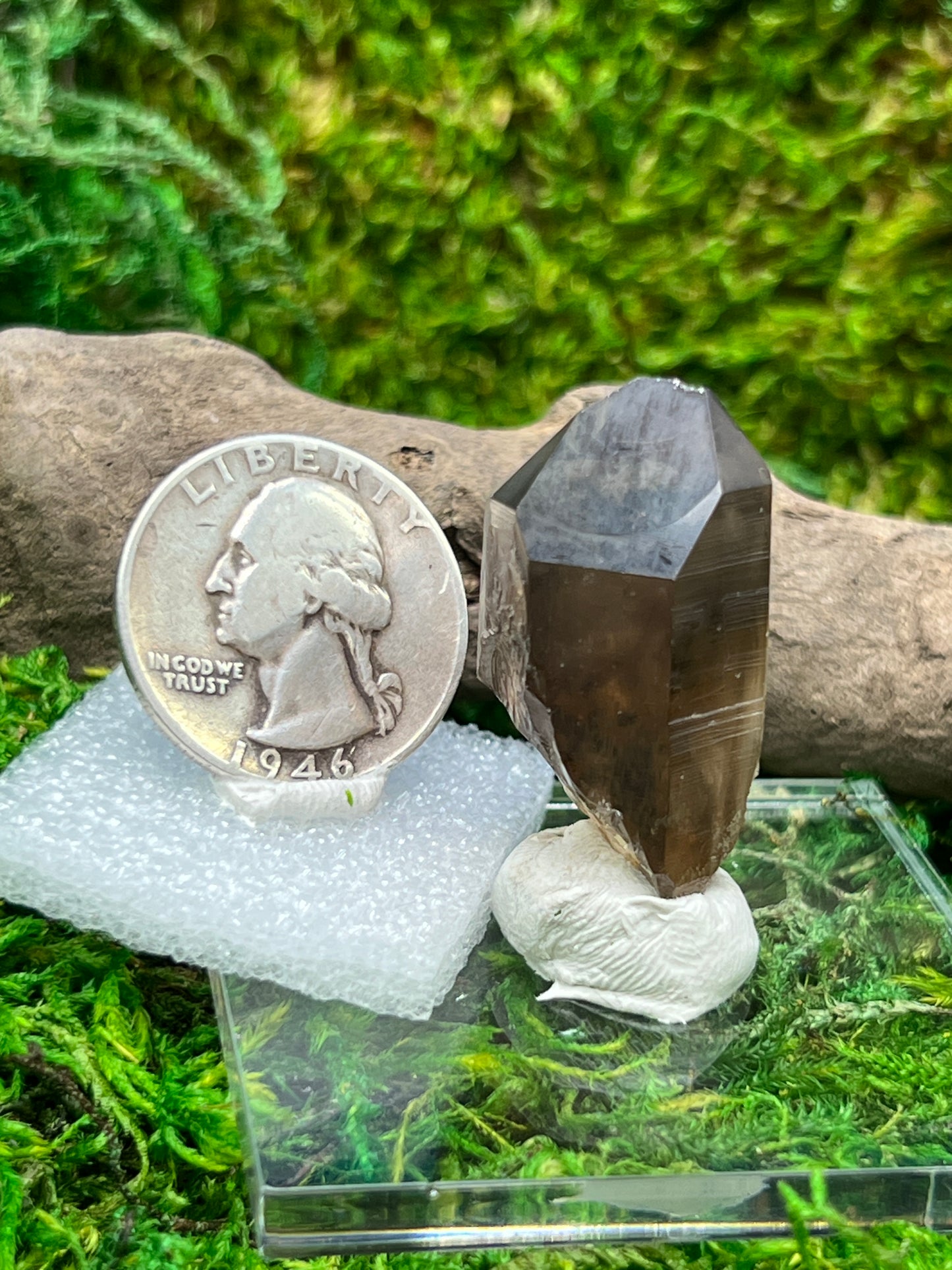 Smoky Quartz Crystal from Sally Anne Pegmatite