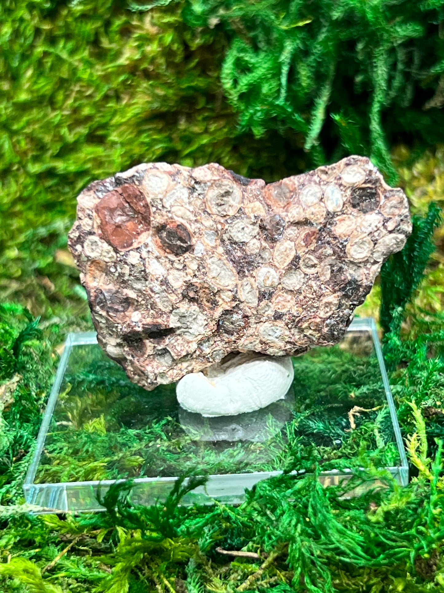 Natural Bauxite Mineral Sample - 20.1 Grams