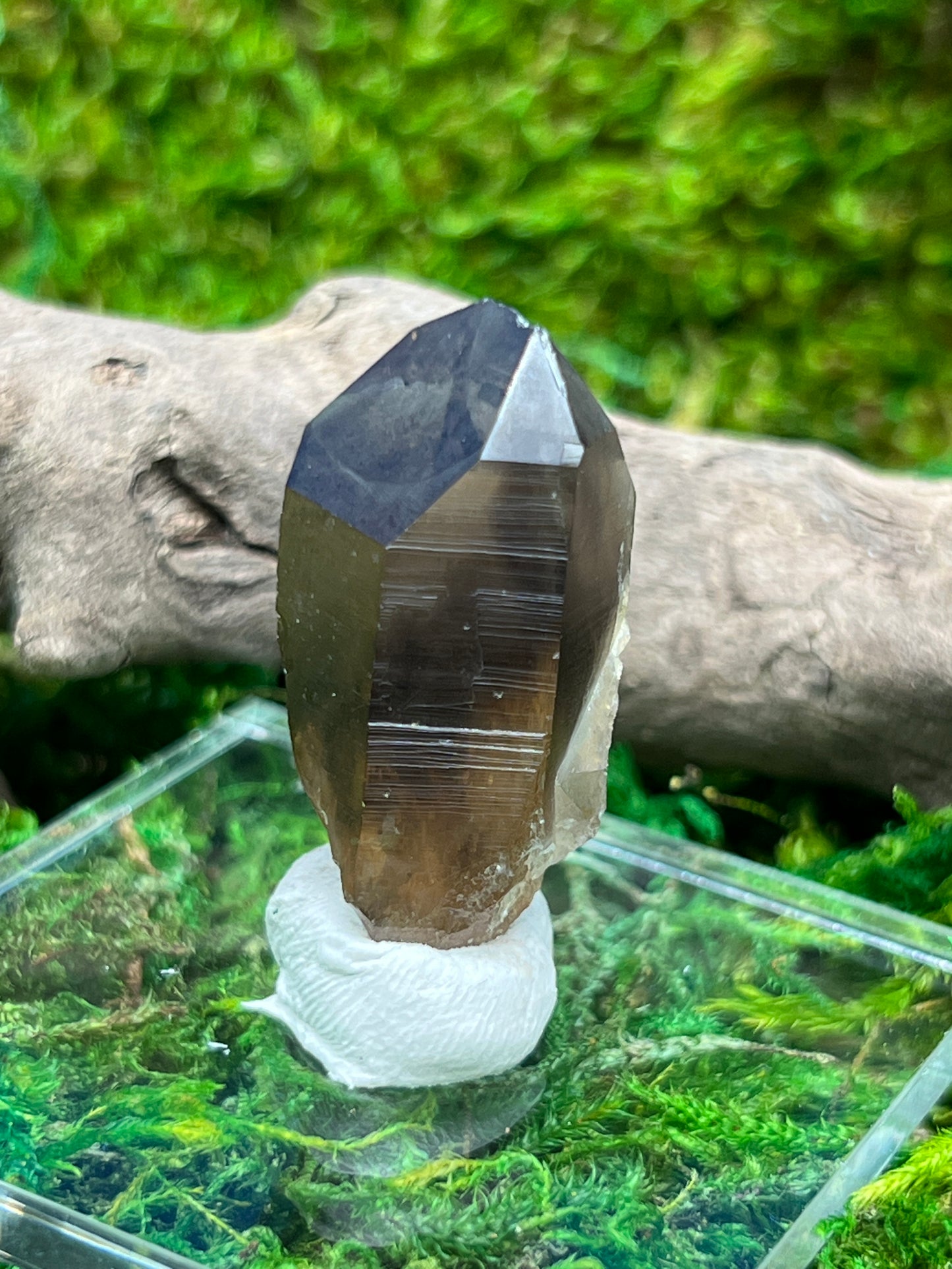 Smoky Quartz Crystal from Sally Anne Pegmatite