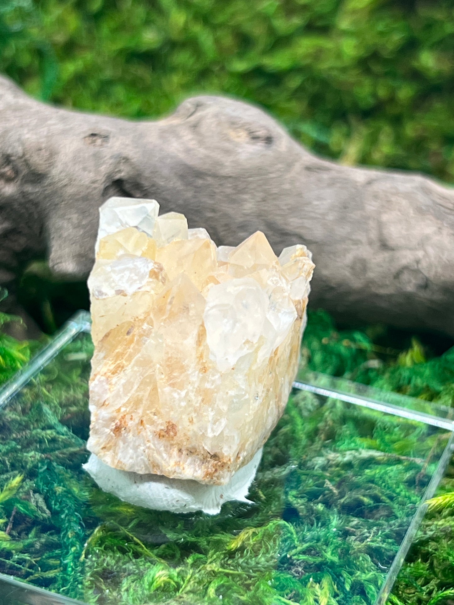 Quartz with Iron - Diamond Hill Mine Specimen