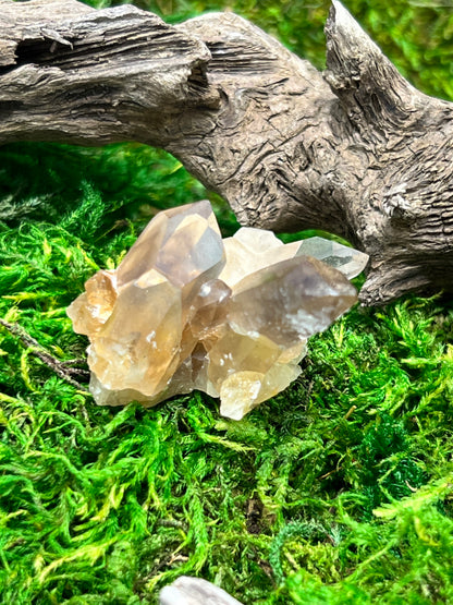 Smoky Citrine Crystal from Sally Anne Pegmatite