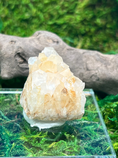 Quartz with Iron - Diamond Hill Mine Specimen