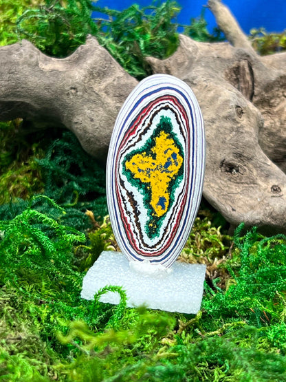 Kenworth Fordite