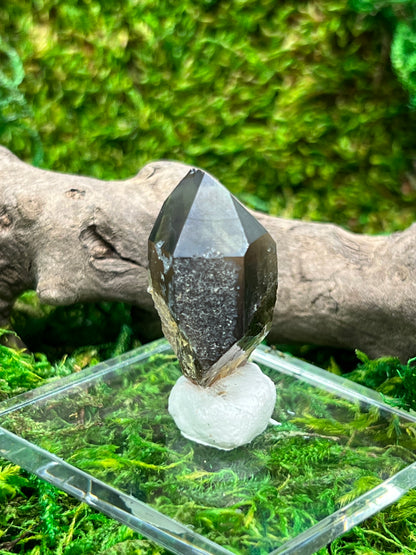 Smoky Quartz Crystal from Sally Anne Pegmatite