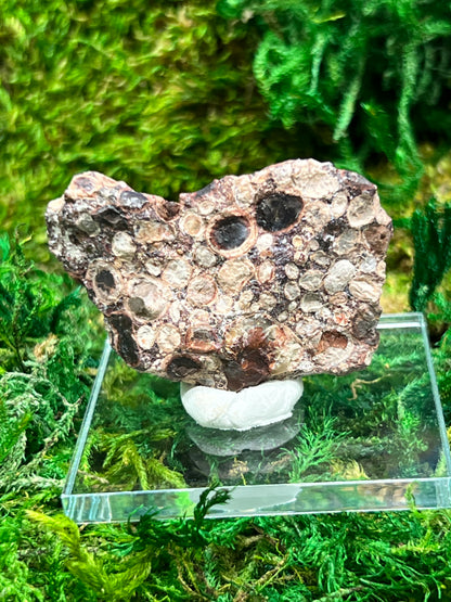 Natural Bauxite Mineral Sample - 20.1 Grams