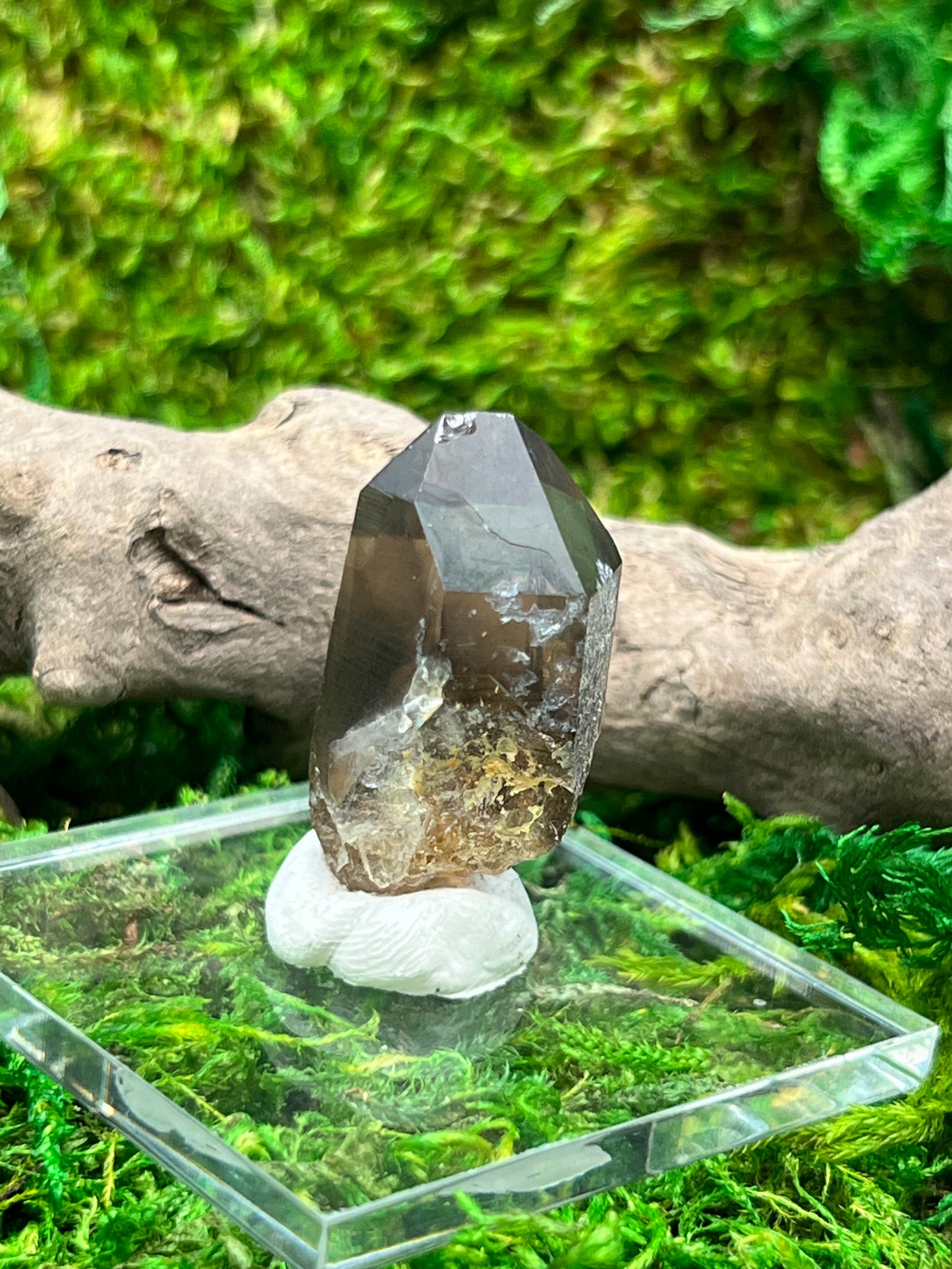 Smoky Quartz Crystal from Sally Anne Pegmatite