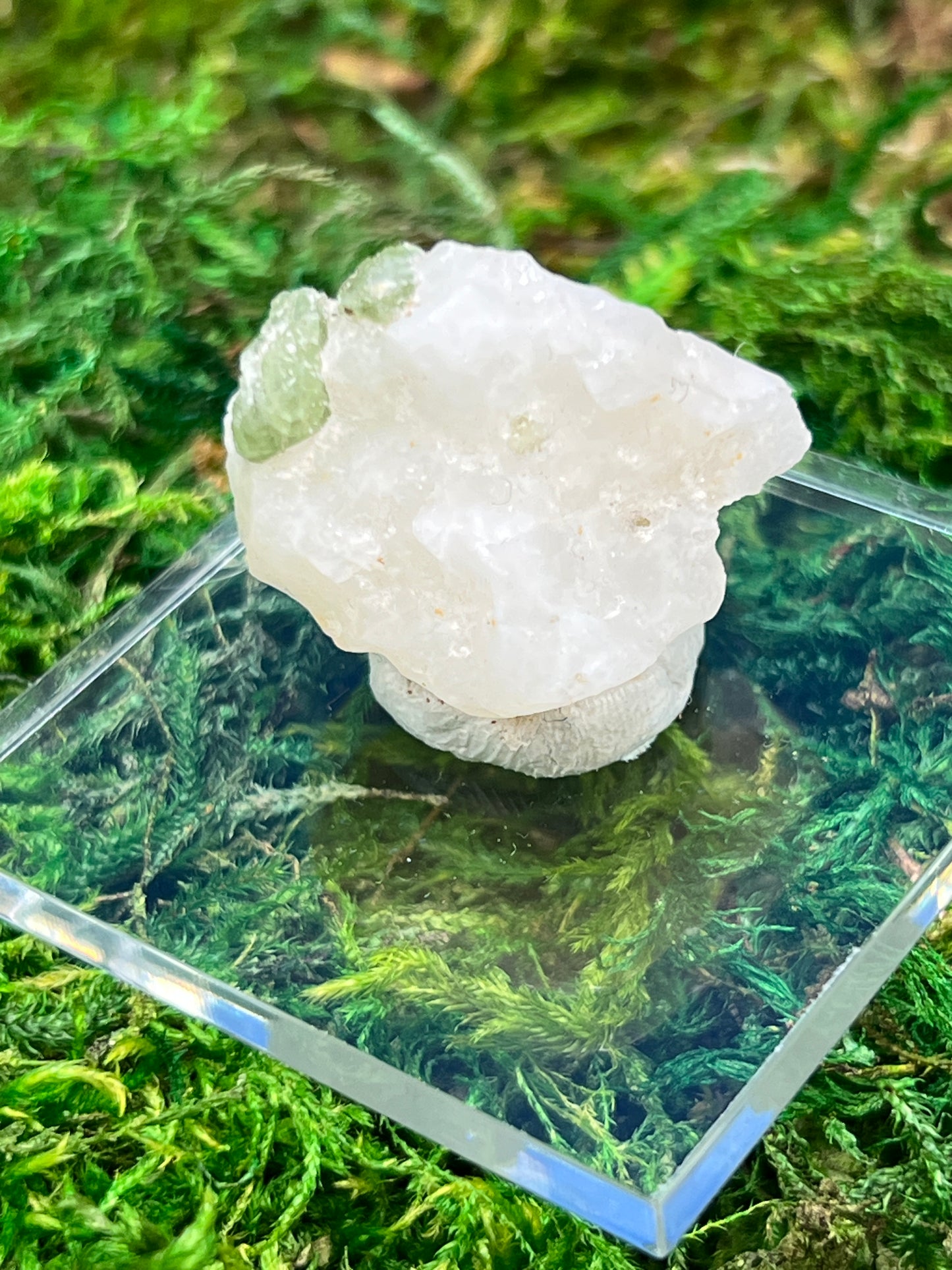 Diopside on Calcite - Natural Mineral Specimen