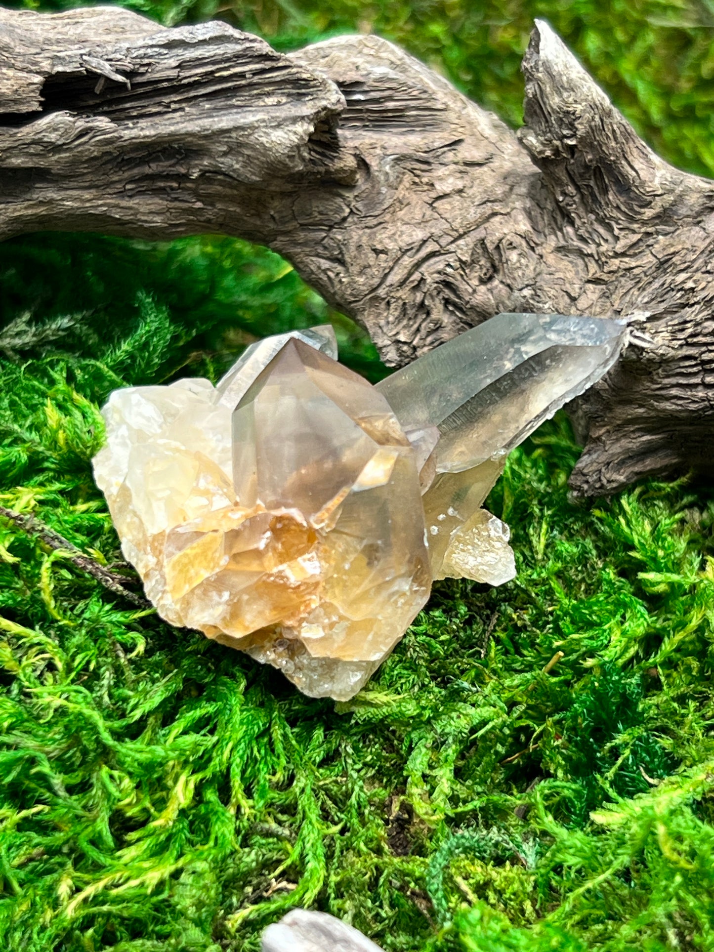 Smoky Citrine Crystal from Sally Anne Pegmatite