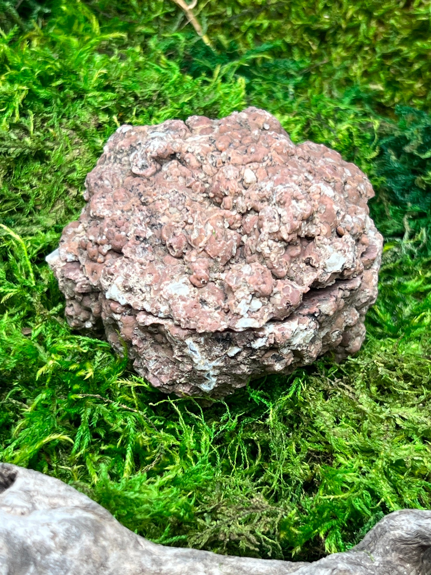 Oregon Thunderegg