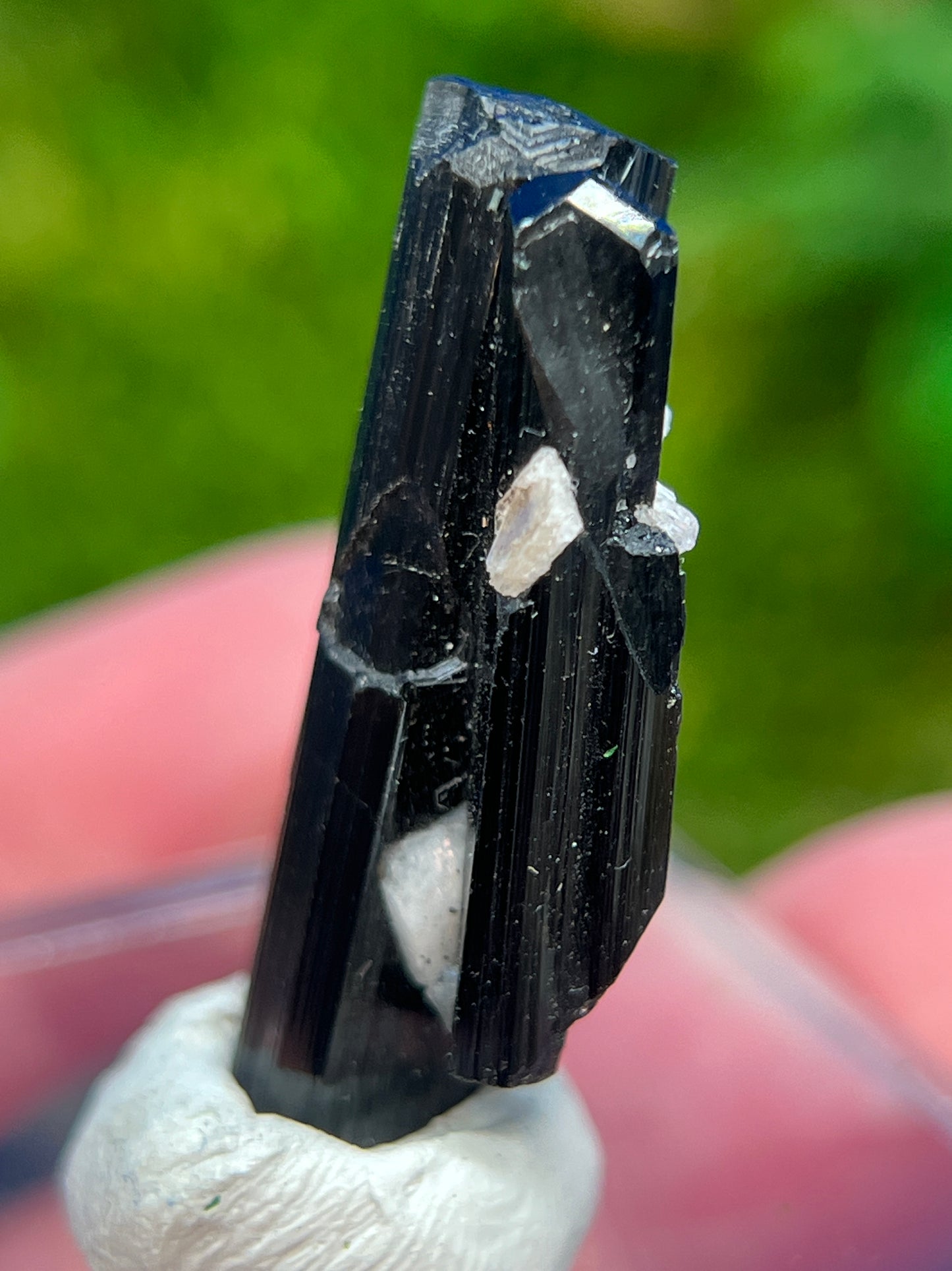 Schorl (Black Tourmaline) from Skardu, Pakistan