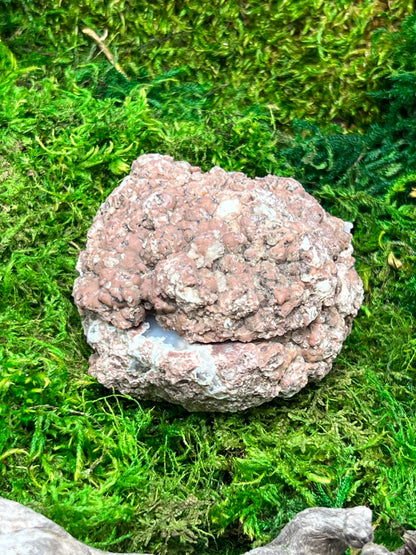 Oregon Thunderegg