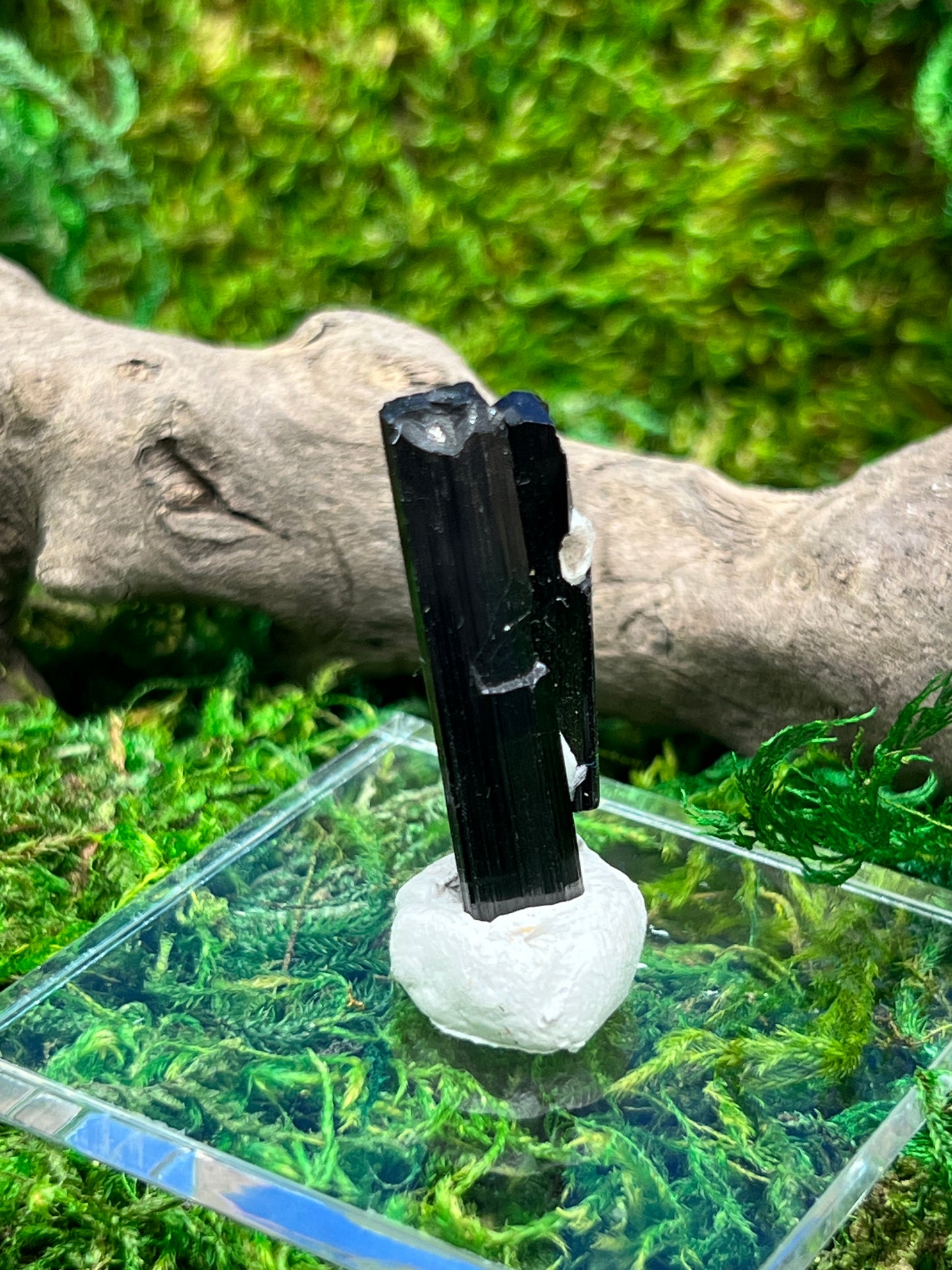 Schorl (Black Tourmaline) from Skardu, Pakistan