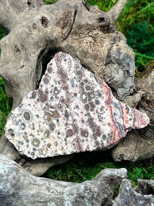 Leopard Skin Rhyolite