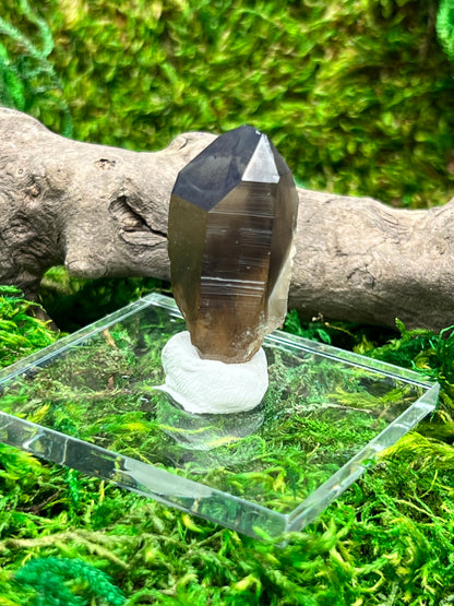 Smoky Quartz Crystal from Sally Anne Pegmatite