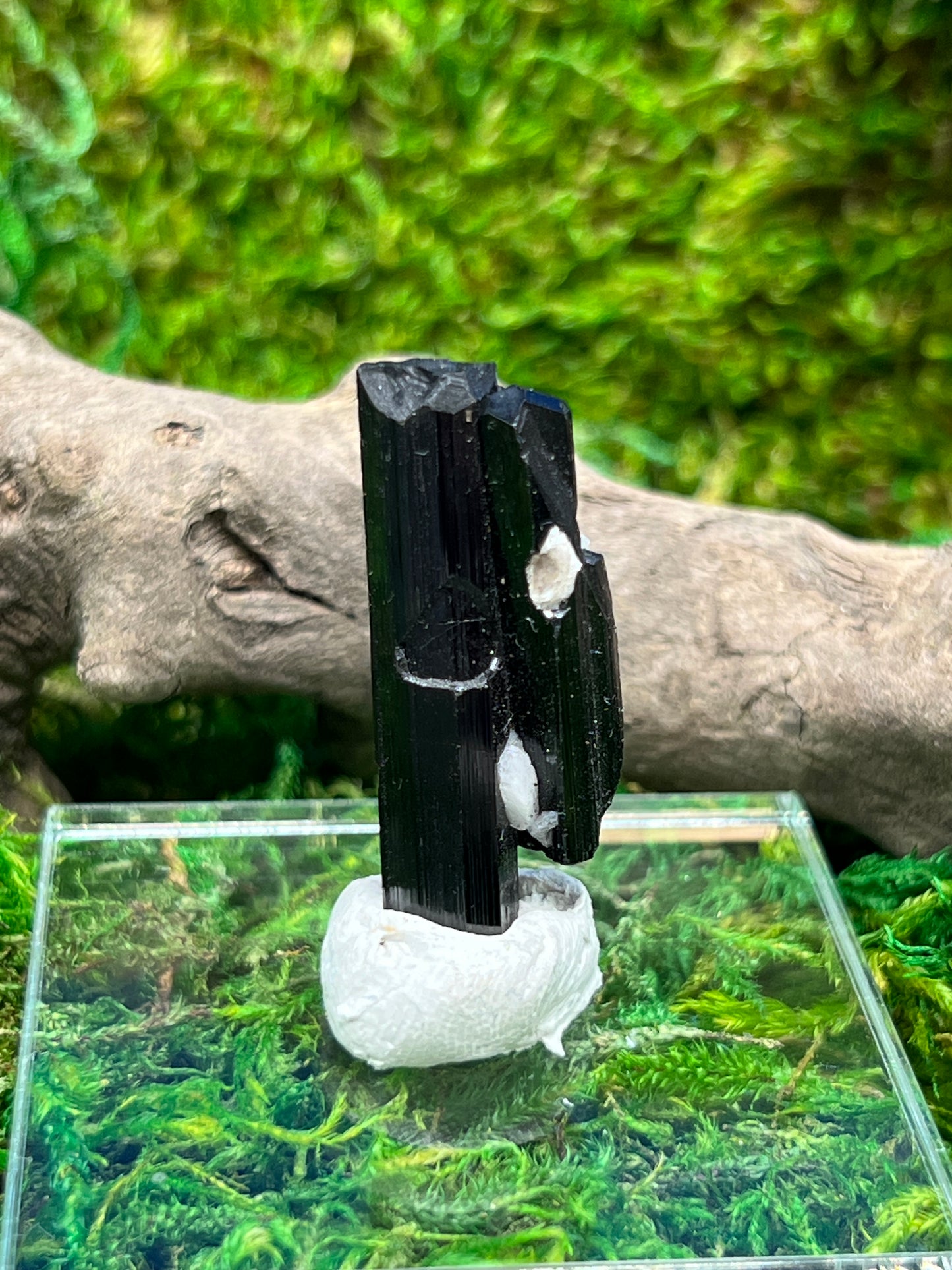 Schorl (Black Tourmaline) from Skardu, Pakistan