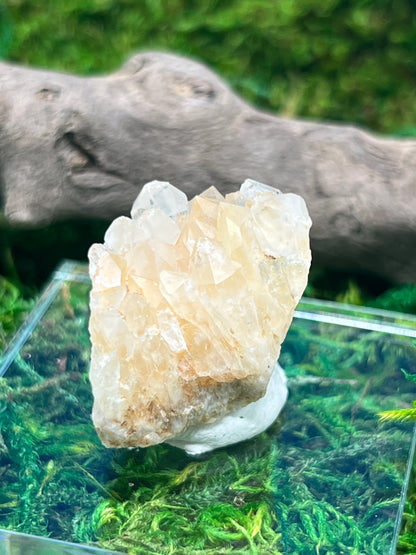 Quartz with Iron - Diamond Hill Mine Specimen