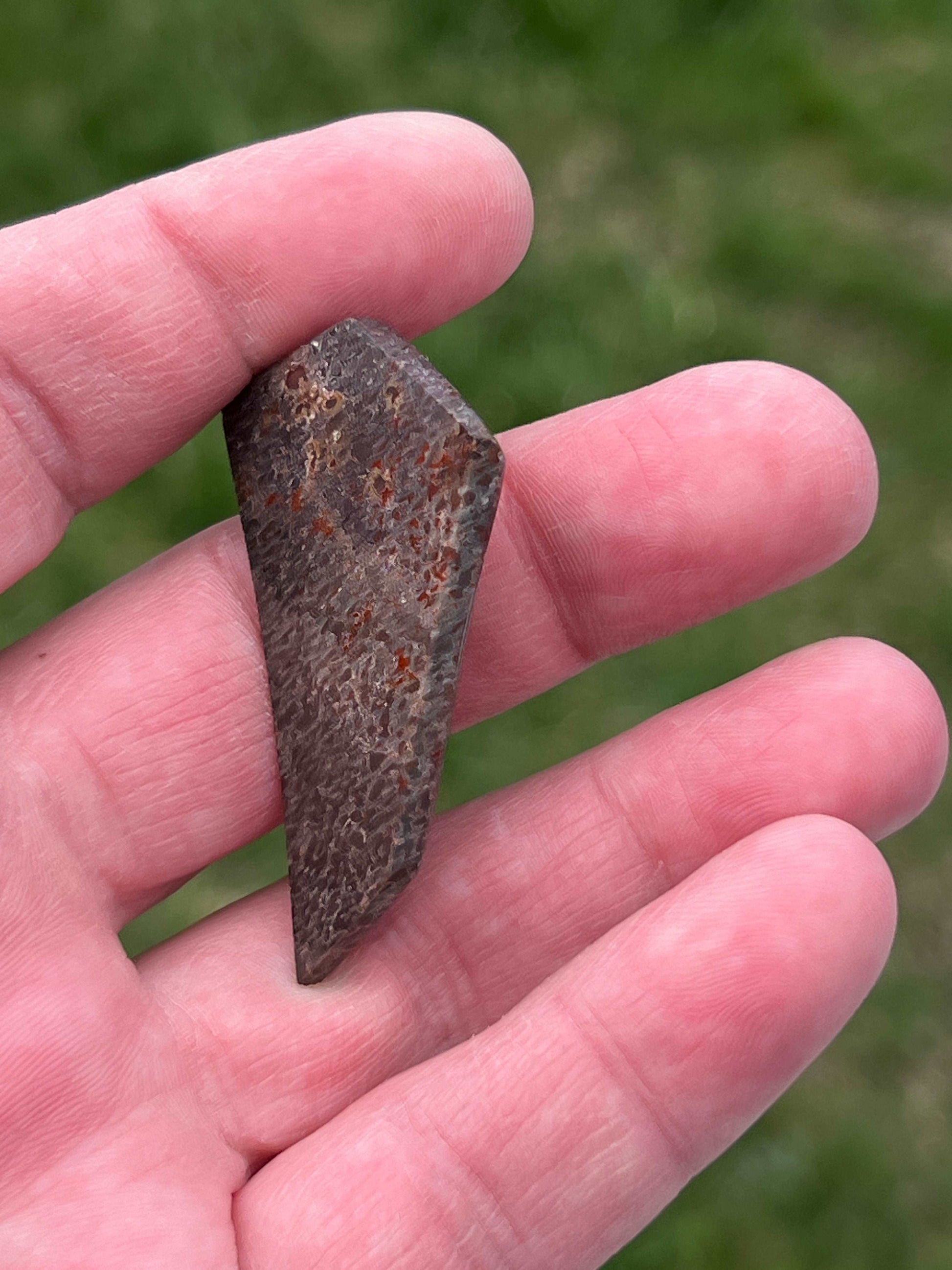 Gem Bone Cabochon