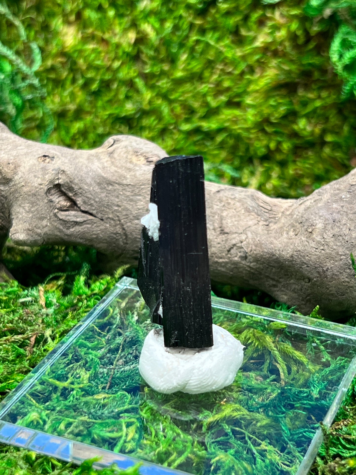 Schorl (Black Tourmaline) from Skardu, Pakistan