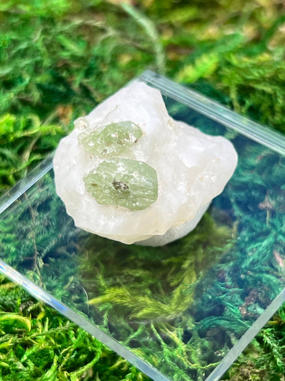 Diopside on Calcite - Natural Mineral Specimen