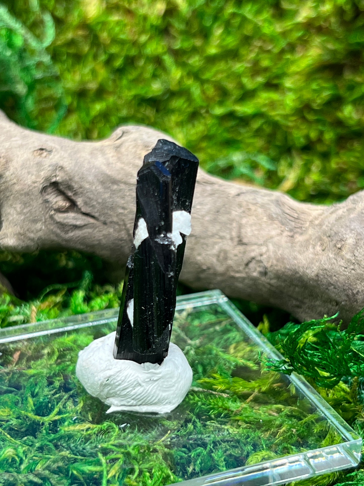 Schorl (Black Tourmaline) from Skardu, Pakistan