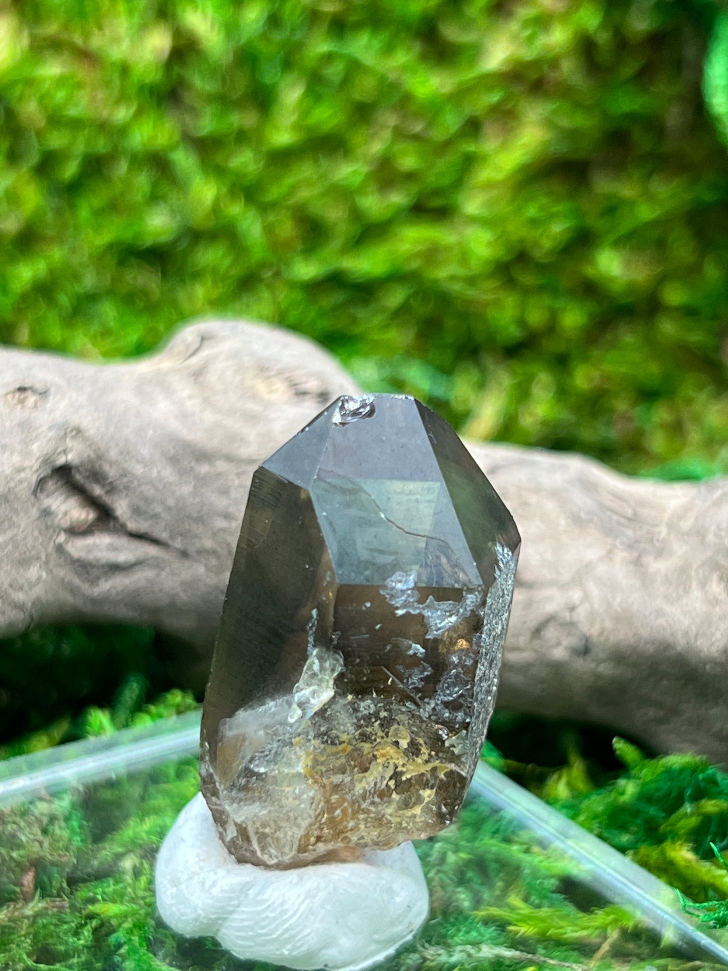 Smoky Quartz Crystal from Sally Anne Pegmatite