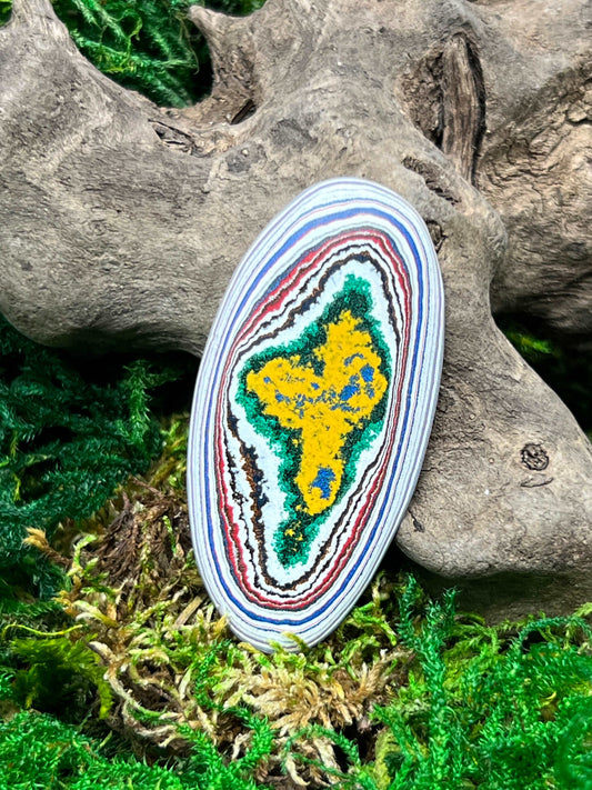 Kenworth Fordite