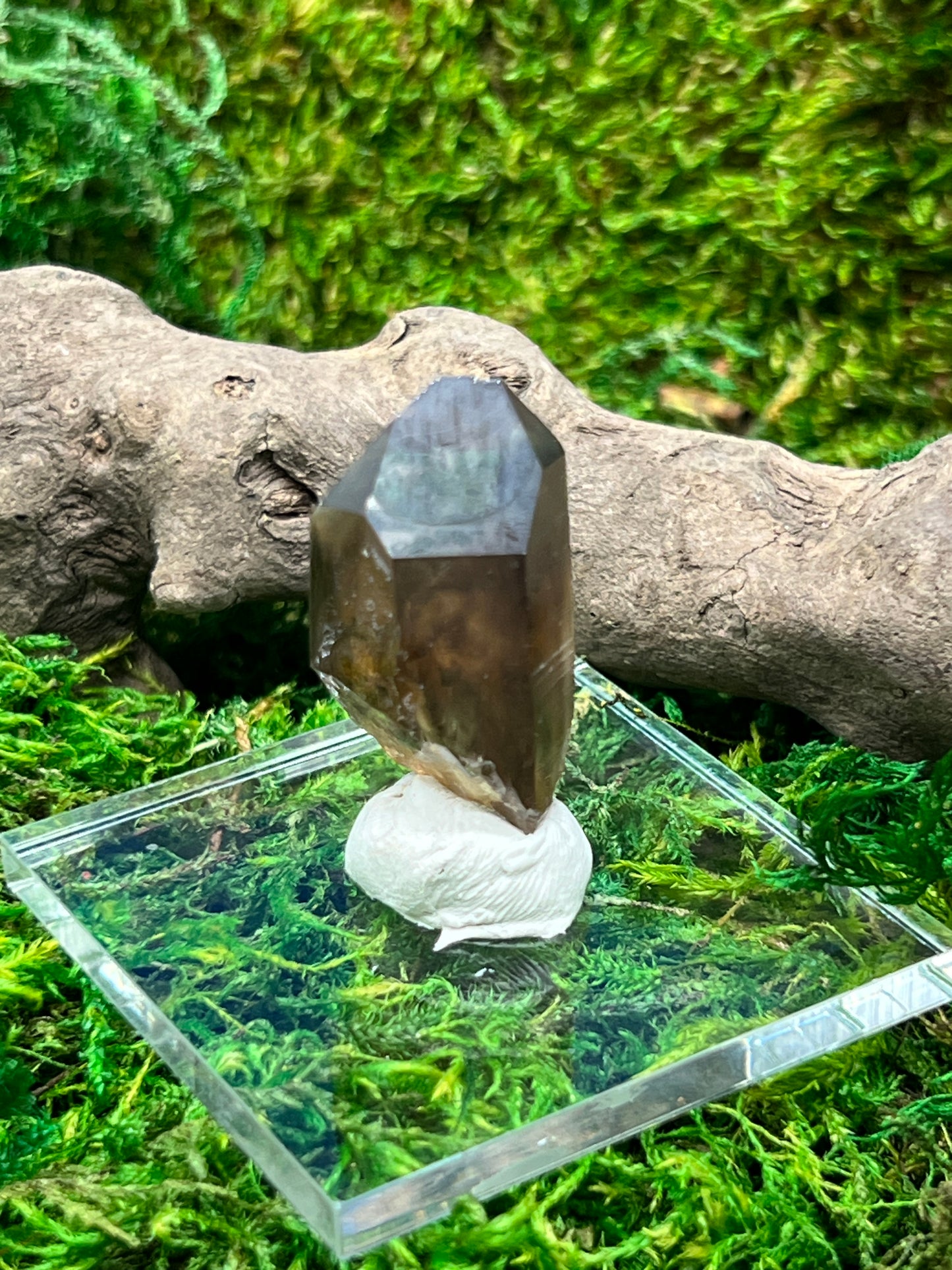 Smoky Quartz Crystal from Sally Anne Pegmatite