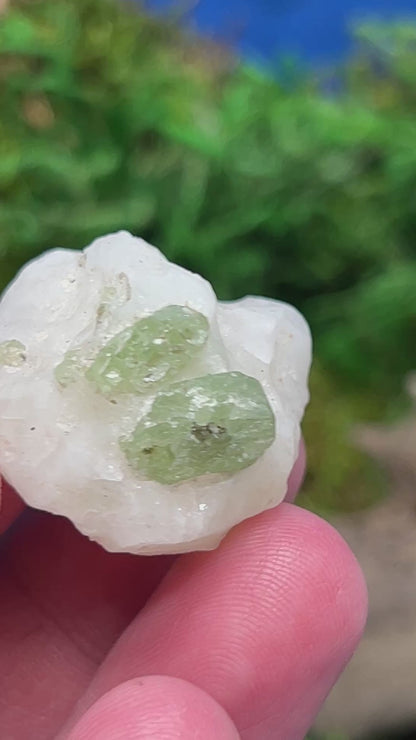 Diopside on Calcite - Natural Mineral Specimen