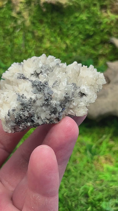 Calcite on Galena Specimen from Santa Eulalia
