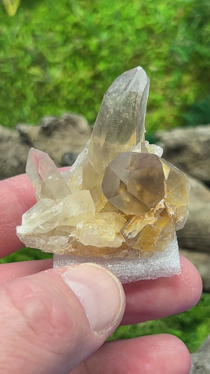 Smoky Citrine Crystal from Sally Anne Pegmatite