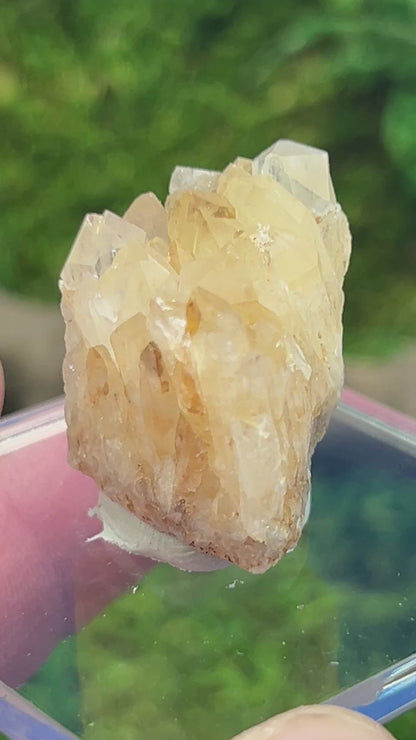 Quartz with Iron - Diamond Hill Mine Specimen