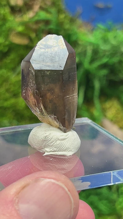 Smoky Quartz Crystal from Sally Anne Pegmatite