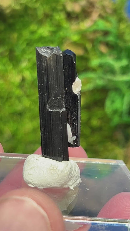 Schorl (Black Tourmaline) from Skardu, Pakistan