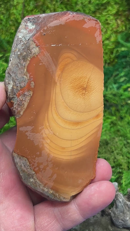 Bruneau Jasper