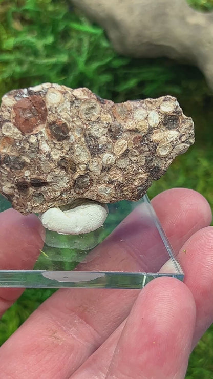 Natural Bauxite Mineral Sample - 20.1 Grams