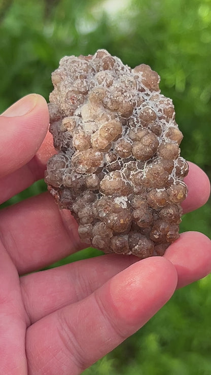 Botryoidal Fluorite over Hematite